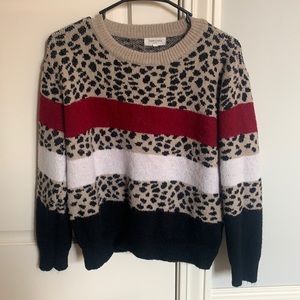 Sweet Lovely Animal print stripped sweater